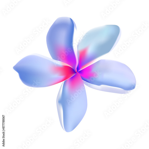 Plumeria tropical flower illustration on white background