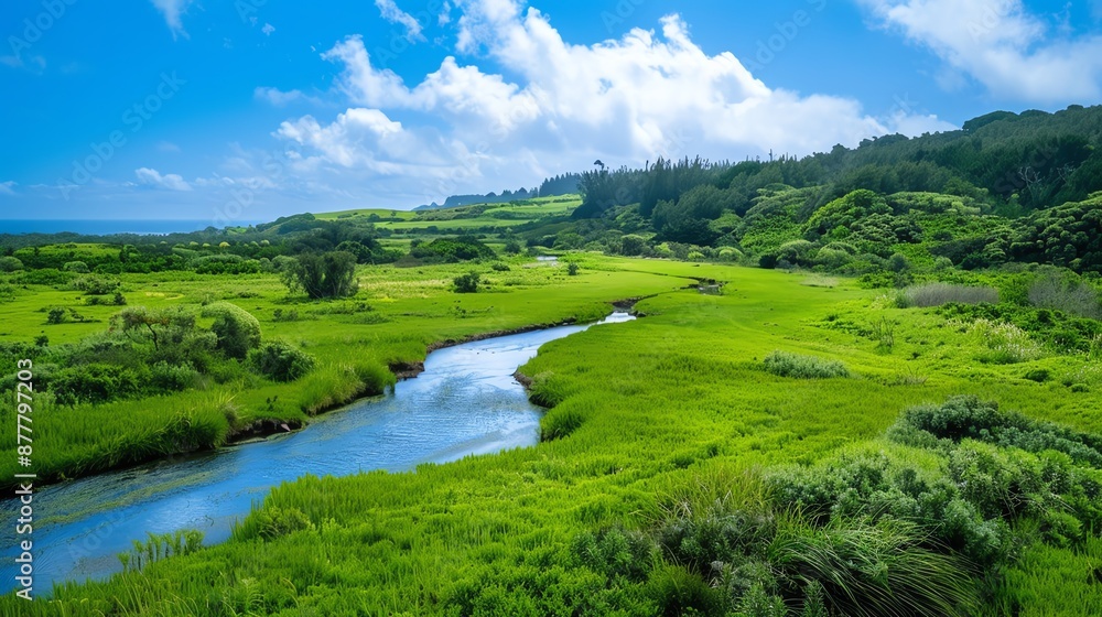 Beautiful scenes of fauna thriving with natural management, Fauna Natural Management, Eco Conservation Beautiful scenes of fauna thriving with natural management, Fauna Natural Management, Eco Conservation