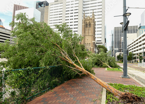 Slika na platnu Downtown Houston after Hurricane Beryl