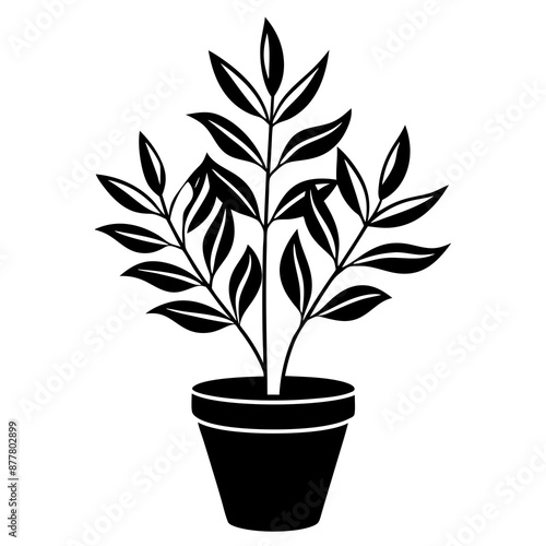 Minimalist plant silhouette vector illustration on white background