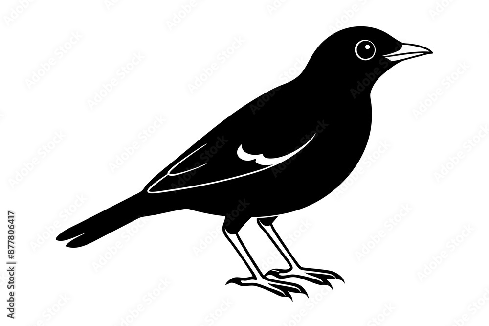 Obraz premium Common Myna icon silhouette vector illustration