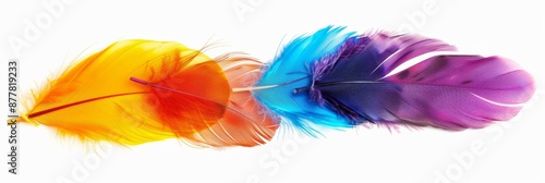 Abstract colorful feathers isolated on white canvas, unique elegance, symbol of natural beauty and simplicity photo