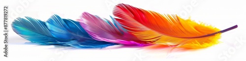 Abstract colorful feathers isolated on white canvas, unique elegance, symbol of natural beauty and simplicity photo