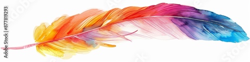 Abstract colorful feathers isolated on white canvas, unique elegance, symbol of natural beauty and simplicity photo