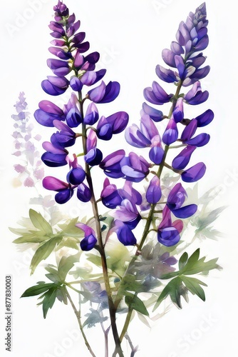 an ai generated image, Lupin flowers