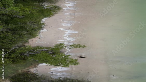 Wallpaper Mural Walking on the beach  Torontodigital.ca