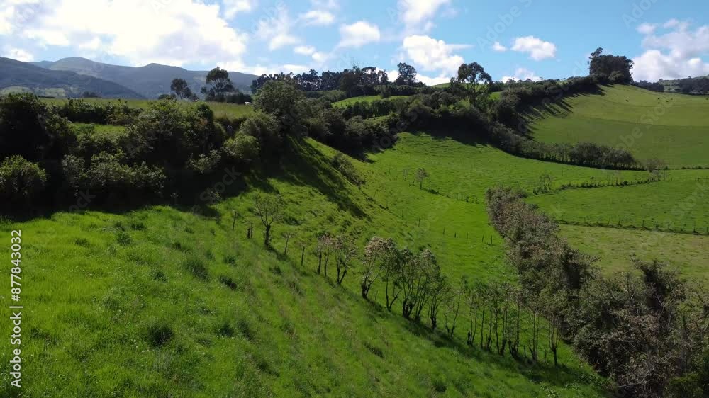 Green and sunny hillside at the foothills of the Pasochoa volcano in the province of Pichincha, Ecuador, dolly aerial drone flight