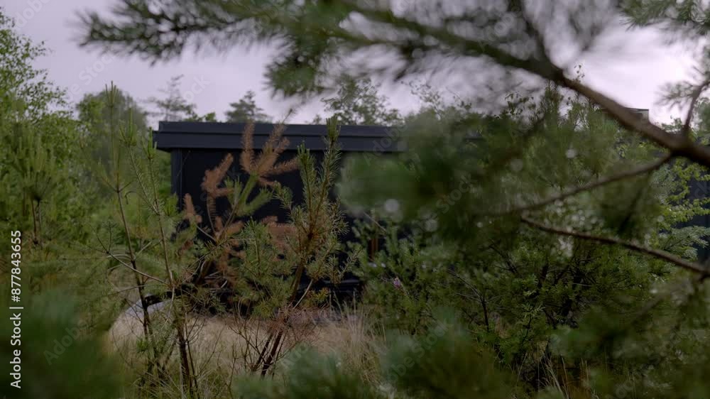 Modern black cabins blend into a serene, misty forest, creating an eco-friendly retreat surrounded by lush greenery and tall trees, offering a tranquil and harmonious escape in nature. Modern black cabins blend into a serene, misty forest, creating an eco-friendly retreat surrounded by lush greenery and tall trees, offering a tranquil and harmonious escape in nature.