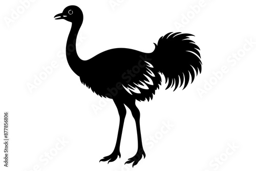 Ostrich silhouette vector, ostrich emu bird vector illustration
