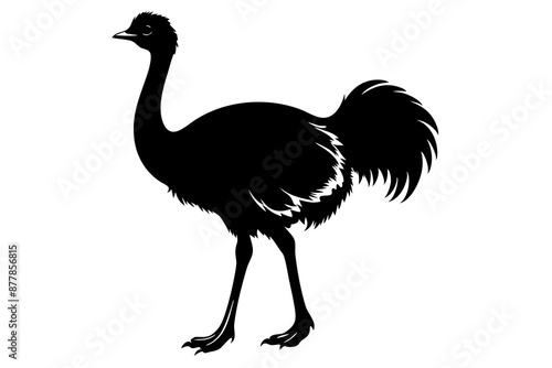 Ostrich silhouette vector, ostrich emu bird vector illustration
