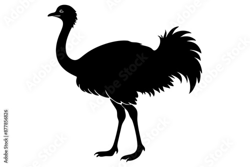 Ostrich silhouette vector, ostrich emu bird vector illustration
