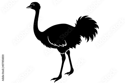 Ostrich silhouette vector, ostrich emu bird vector illustration
