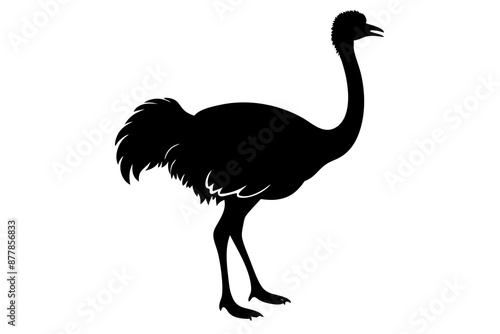 Ostrich silhouette vector, ostrich emu bird vector illustration
