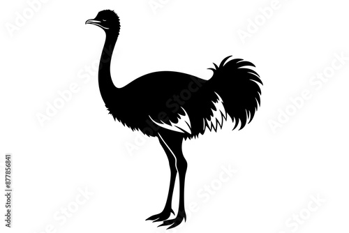 Ostrich silhouette vector, ostrich emu bird vector illustration
