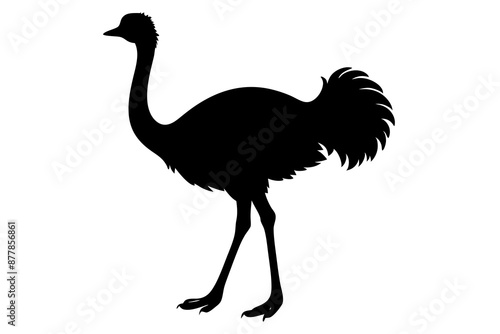 Ostrich silhouette vector, ostrich emu bird vector illustration
