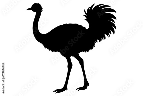 Ostrich silhouette vector, ostrich emu bird vector illustration
