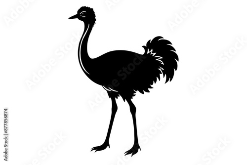 Ostrich silhouette vector, ostrich emu bird vector illustration
