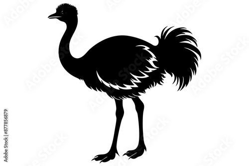 Ostrich silhouette vector, ostrich emu bird vector illustration
