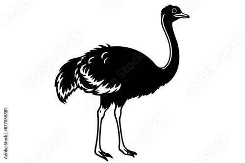 Ostrich silhouette vector, ostrich emu bird vector illustration
