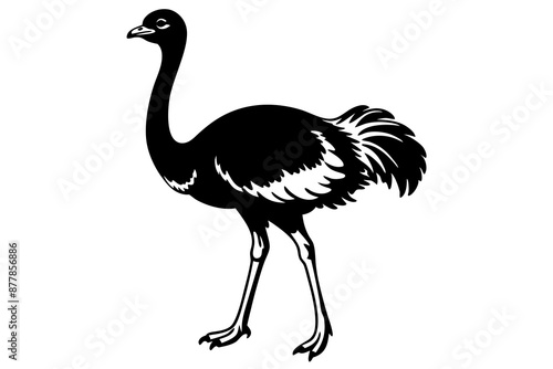 Ostrich silhouette vector, ostrich emu bird vector illustration
