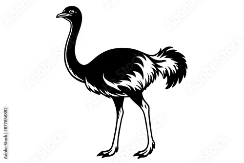 Ostrich silhouette vector, ostrich emu bird vector illustration
