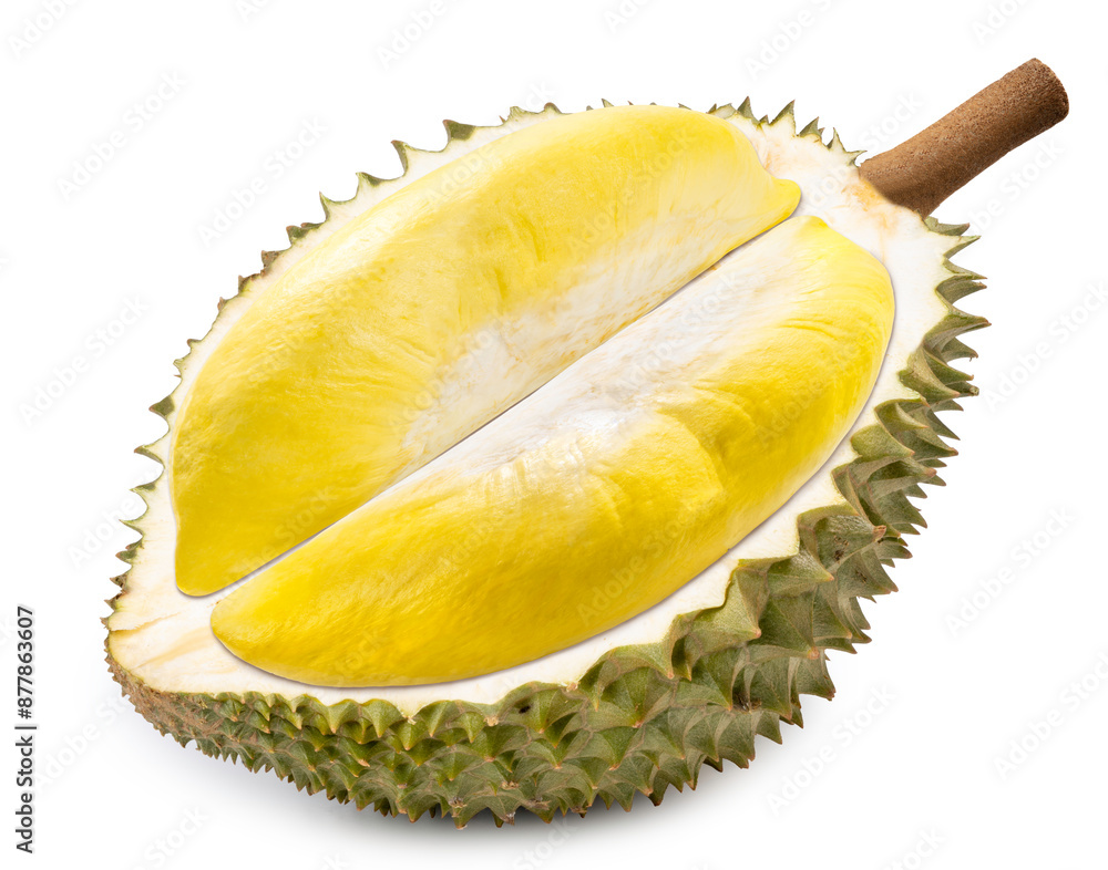 Fototapeta premium Durian The King of (Tropical) Fruits isolate on white background with clipping path.