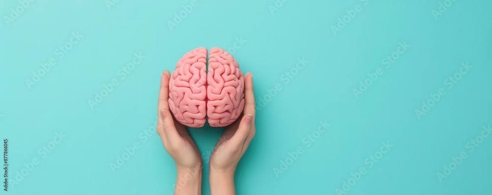 Interactive demo on cognitive development and its impact on human behavior, development human behavior, hands on learning Interactive demo on cognitive development and its impact on human behavior, development human behavior, hands on learning