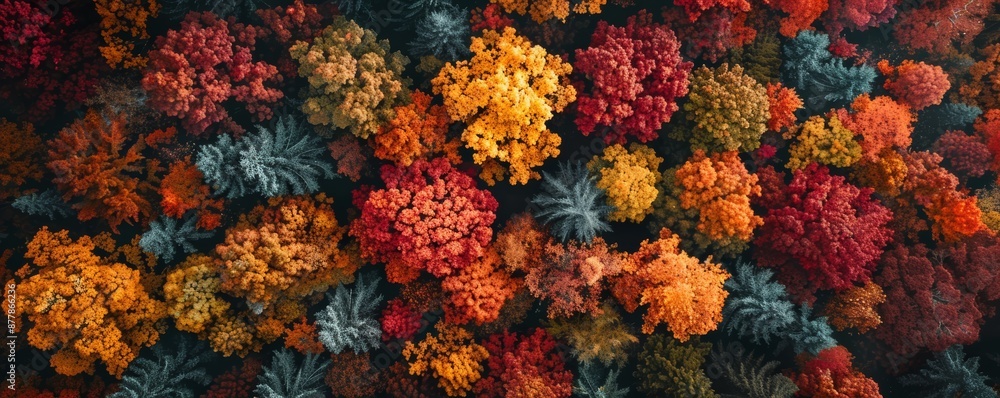 Fototapeta premium Abstract colorful floral pattern background.
