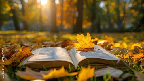 An open-air reading session with books and leaves providing a natural setting