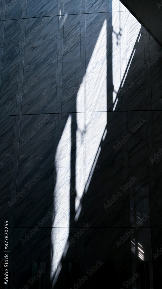 Fototapeta premium Tokyo