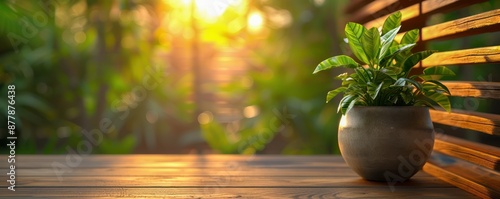 Warm, Natural Light Bathes a Wooden Deck with a Potted Plant and a Blurred Sunset Background, Creating a Serene and Inviting Atmosphere The Brown Wooden Panels Add Texture and Depth to the Scene photo