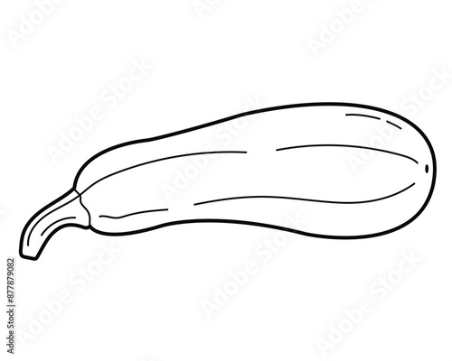 Fresh zucchini. Vector vegetable, vegetarian food. Simple outline illustration, isolated on white background. Design element