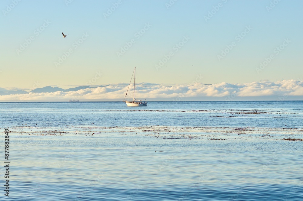 Fototapeta premium Sailing on the Canadian Clouds
