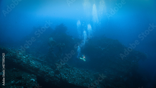 Wallpaper Mural Underwater photography of the spooky USS Liberty shipwreck from the second world war WWII. From a scuba dive off the coast of Bali. Torontodigital.ca