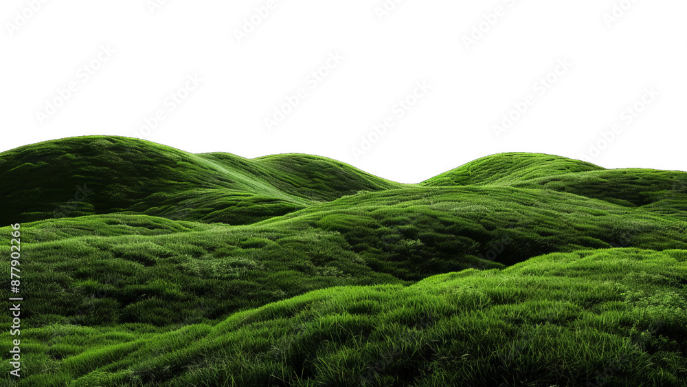 A serene landscape of rolling green hills covered in lush grass, creating a peaceful and undulating pattern against a clear, isolated.
A serene landscape of rolling green hills covered in lush grass, creating a peaceful and undulating pattern against a clear, isolated.