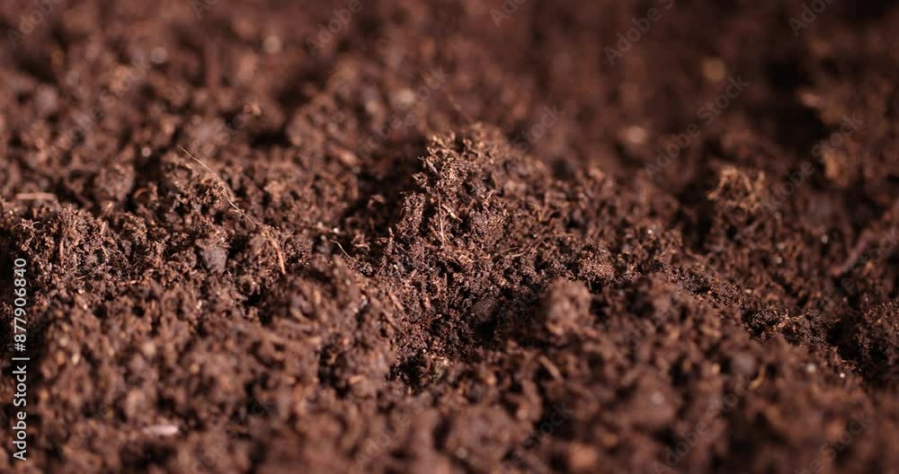 fertile soil close-up for sowing plants, details of agricultural soil to improve the quality of crop plants fertile soil close-up for sowing plants, details of agricultural soil to improve the quality of crop plants
