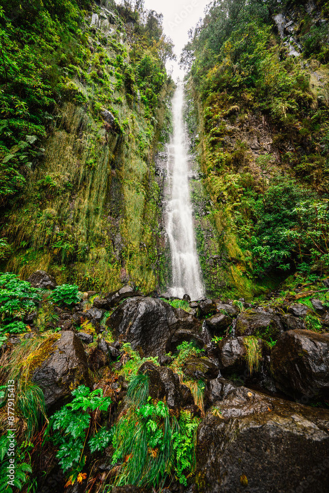 Magical misty green forest with waterfalls do Folhadal in Levada do Norte, Madeira island, Portugal. Magical misty green forest with waterfalls do Folhadal in Levada do Norte, Madeira island, Portugal.