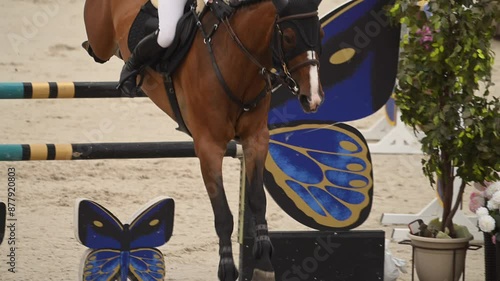 A brown horse and its rider soar gracefully over a colorful obstacle in a show jumping competition