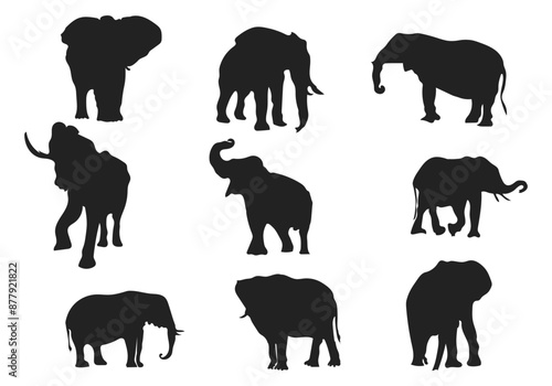 elephant animals silhouettes vector