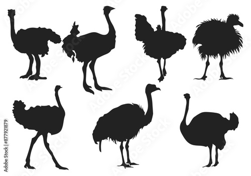 set of ostrich silhouettes