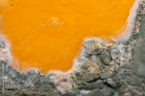 Obraz na płótnie Slices of moldy yellow cheese arranged on a bamboo cutting board. Green mold spores on food. Expired wasted food w salonie