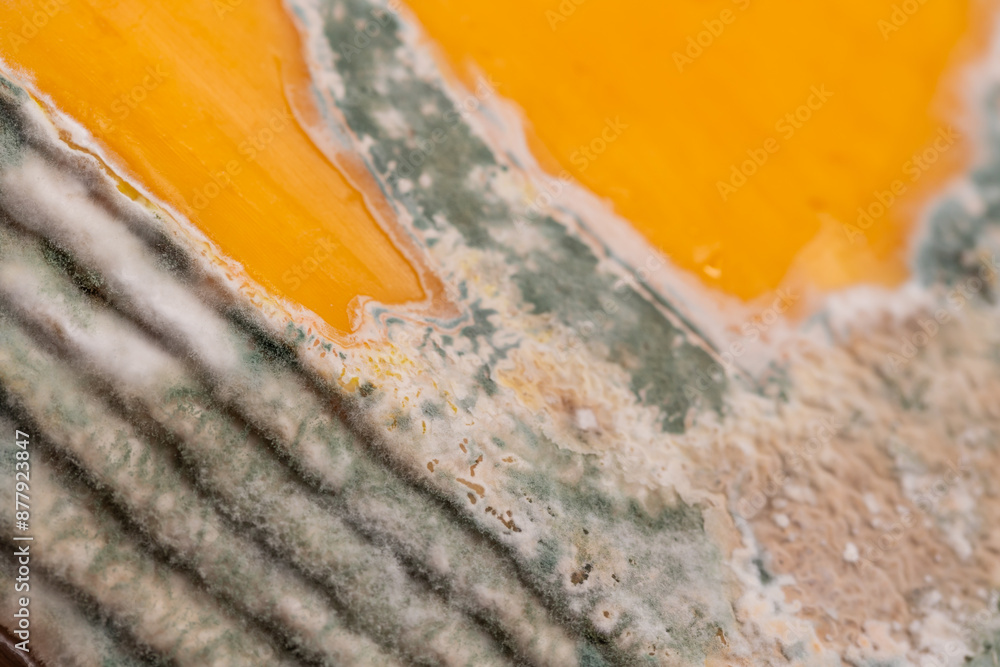 Slices of moldy yellow cheese arranged on a bamboo cutting board. Green mold spores on food. Expired wasted food