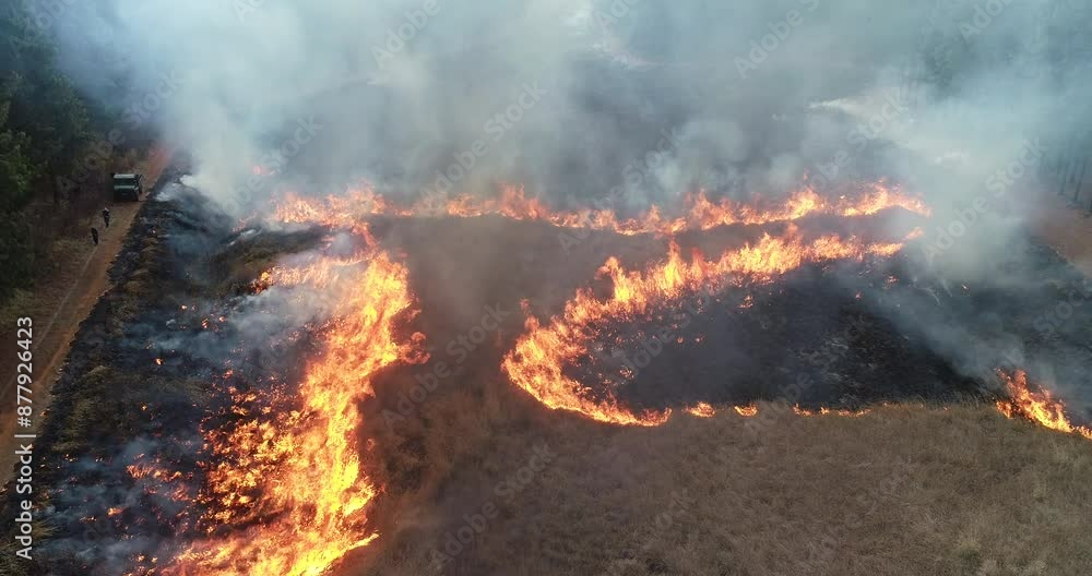 Top Aerial drone,fire and smoke,men starting a controlled burn in forest to prevent unwanted fires Top Aerial drone,fire and smoke,men starting a controlled burn in forest to prevent unwanted fires