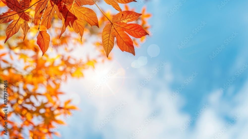 Sunny autumn day in a park, vivid temperature palette of warm reds, oranges, and yellows against cool blue sky, highlighting seasonal beauty Sunny autumn day in a park, vivid temperature palette of warm reds, oranges, and yellows against cool blue sky, highlighting seasonal beauty