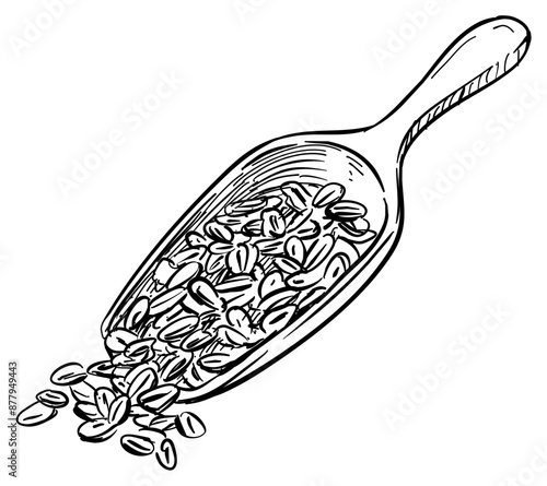 grains handdrawn illustration