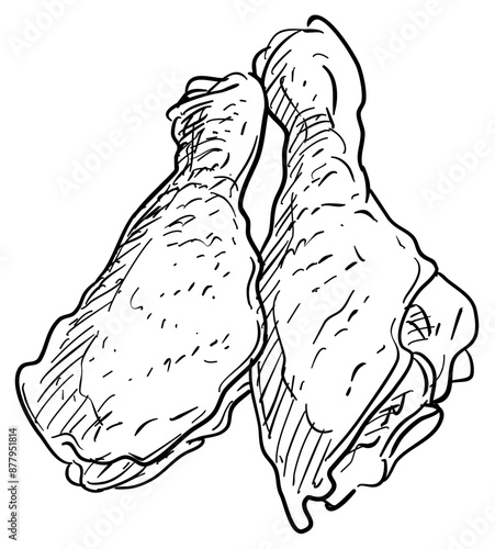 chicken legs meat handdrawn illustration