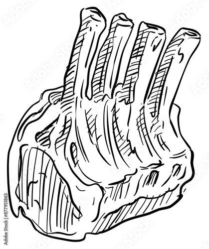 tomahawk meat handdrawn illustration