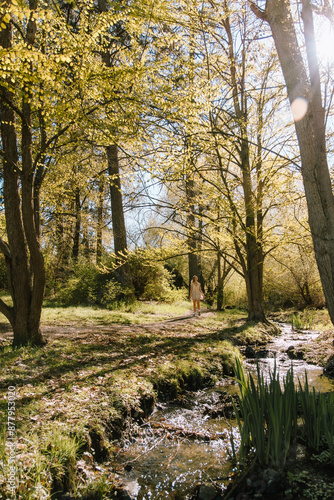 Woman walking through a sunlit forest near a stream