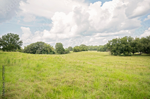 Fotografie Expansive green field with scattered trees under a cloudy sky