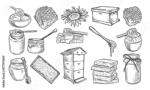 honey handdrawn collection